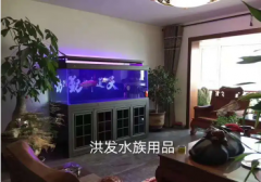 苏州洪发水族用品·苏州鱼缸制作公司 苏州定做海鲜池定制酒店饭