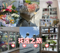 美丽的花花小店