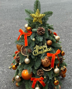 美丽的花花小店