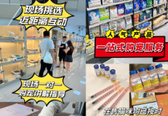 实体猫舍直销一平台保障·猫舍繁育纯种宠物猫颜色品种齐全疫苗驱