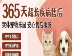 莱多多宠物犬舍·同城宠物狗正规犬舍实体店 出售各种宠物狗幼犬