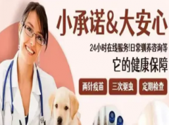 莱多多宠物犬舍·同城宠物狗正规犬舍实体店 出售各种宠物狗幼犬