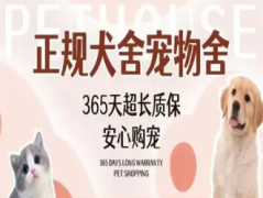 莱多多宠物犬舍·同城宠物狗正规犬舍实体店 出售各种宠物狗幼犬