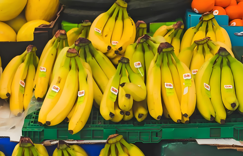 大型商超为何少见国产香蕉？供应稳定性成关键